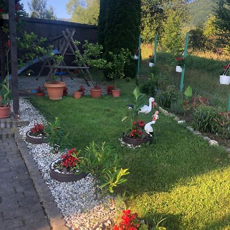 Pensiunea Casa Cu Flori سيسناديورا المظهر الخارجي الصورة