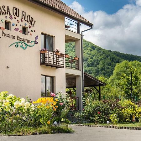 Pensiunea Casa Cu Flori سيسناديورا المظهر الخارجي الصورة