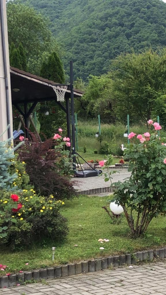 Pensiunea Casa Cu Flori سيسناديورا المظهر الخارجي الصورة