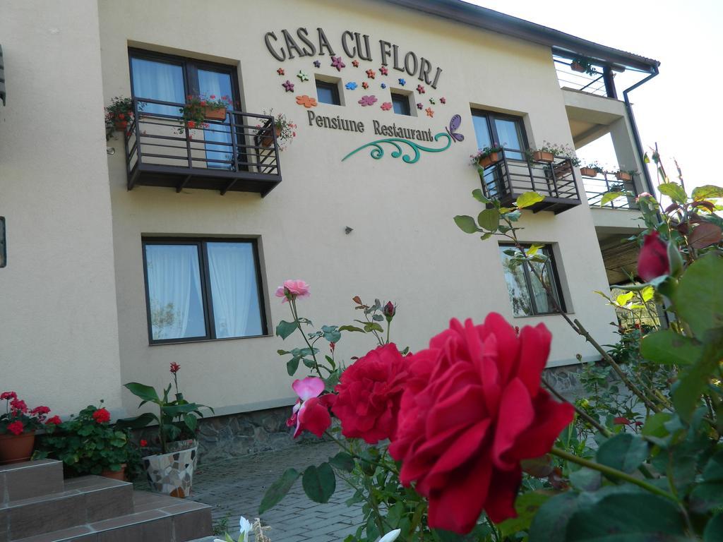 Pensiunea Casa Cu Flori سيسناديورا المظهر الخارجي الصورة