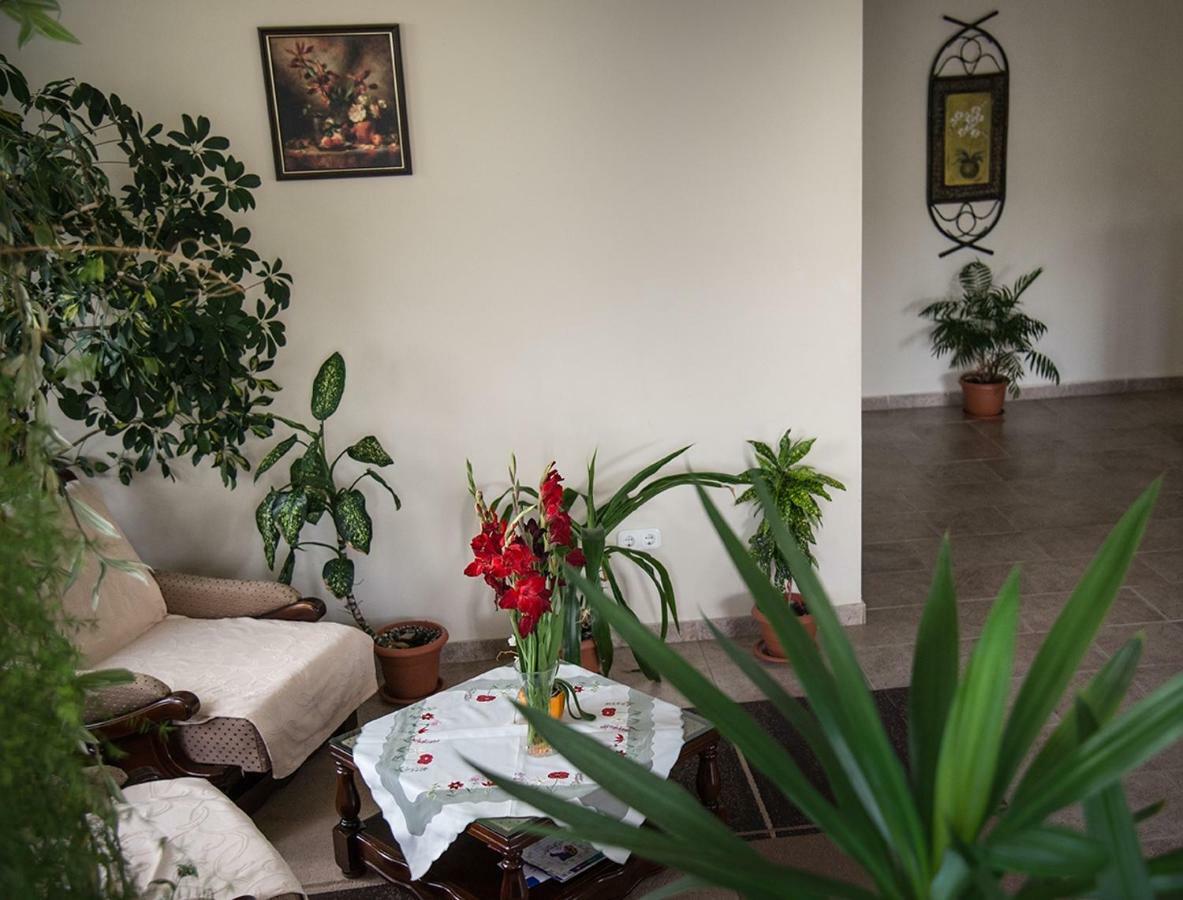 Pensiunea Casa Cu Flori سيسناديورا المظهر الخارجي الصورة