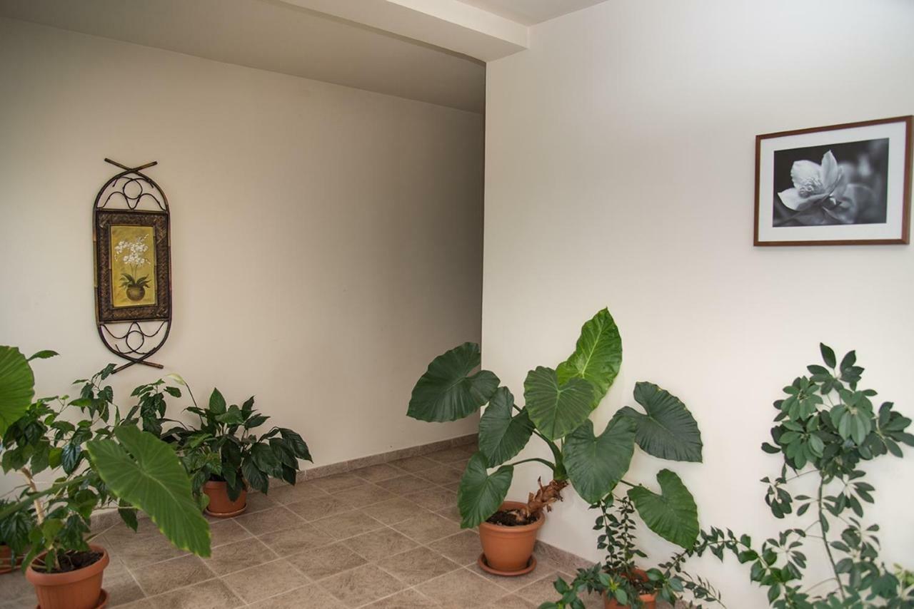 Pensiunea Casa Cu Flori سيسناديورا المظهر الخارجي الصورة